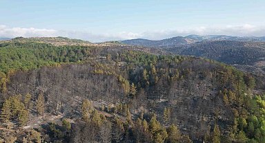 Bolu'daki yangından etkilenen alanda söndürme ve soğutma çalışmaları sürüyor