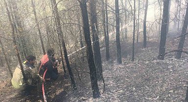 Çamlıdere'deki ot yangını ormanlık alana sıçradı