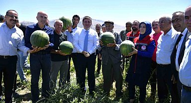 Karaman'da karpuz hasadı başladı