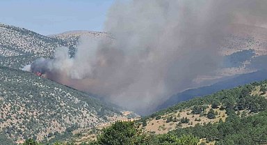 Konya'da ormanlık alanda yangın