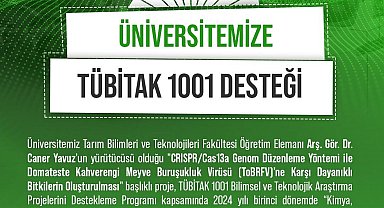 Niğde Ömer Halisdemir Üniversitesinin domates virüsü projesi desteklenmeye hak kazandı