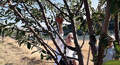 Talas'ın bahçıvan başkanı
