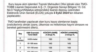 Toprak Mahsulleri Ofisi, 3 Eylül'den itibaren kuru kayısı alımı yapacak