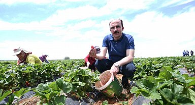 Başkan Altay: "Hüyük çileği AB tescili alan Konya'mızın ilk ürünü oldu, hayırlı olsun"