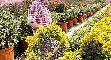 Başkan Çolakbayrakdar, "Şehrimizin yeşil dokusunu hem çeşitlendiriyor hem genişletiyoruz"