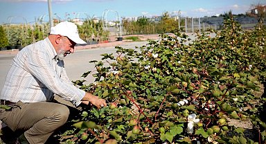 Başkan Çolakbayrakdar: "Türkiye'nin en kapsamlı fidanlığıyla Kayseri'mizin yeşil dokusunu çeşitlendiriyoruz"