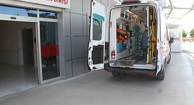 Ceviz toplamak için çıktığı ağaçtan düşerek yaralandı