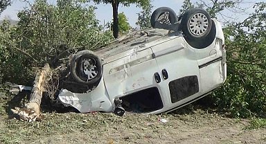 Hafif ticari araç ağaçlara çarptı: 1 yaralı