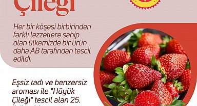 Hüyük çileği AB'den tescil aldı