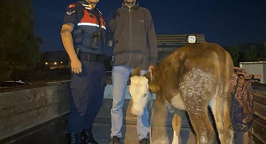 Kayseri'de çalındı, Kahramanmaraş'ta bulundu