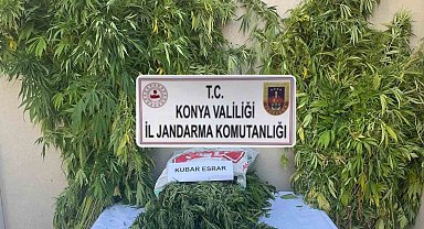 Konya'da jandarmadan uyuşturucu operasyonu: 2 gözaltı