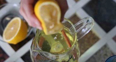 Okullar açıldı, sağlıklı beslenme telaşına uzmanlardan bitkisel tavsiyeler