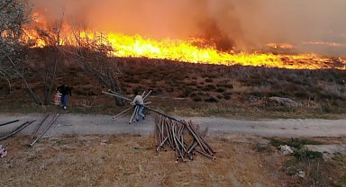 400 dönümlük mısır tarlası ve merada korkutan yangın