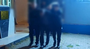 Atların fotoğrafını çekmek istediler, zorbalıkla karşılaştılar
