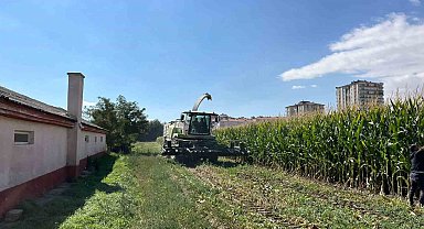 Niğde Patates Araştırma Enstitüsü 2024 yılı silajlık mısır üretimi programı tamamlandı