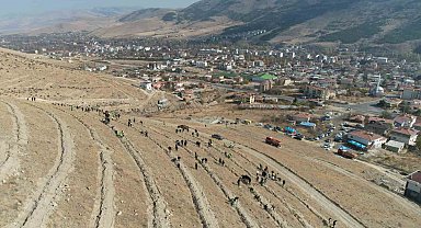 Yahyalı'da binlerce fidan toprakla buluştu