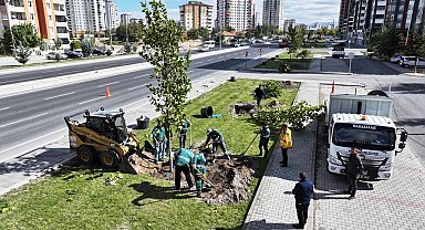 Başkan Çolakbayrakdar: "Yeşil alanda dünya standardını 3'e katlayacağız"