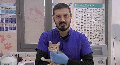 Kırsal bölgelerde yaşayan vatandaşlar 'kurt' uyarısı