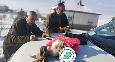 Yasa dışı ava suçüstü