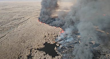 250'den fazla kuşa ev sahipliği yapan Sultan Sazlığı'nda yangın