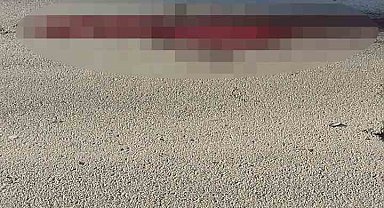 Otomobil ile çarpışan motosiklet sürücüsü hayatını kaybetti