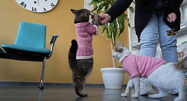 Sevginin ve azmin simgesi: Üç bacaklı "Tripot"