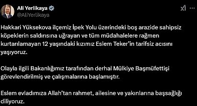 Sokak köpeklerinin öldürdüğü Eslem için Mülkiye Başmüfettişi görevlendirildi