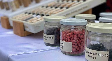 Şubat ayından itibaren Tarım Kredi Kooperatiflerinde ata tohumu dönemi başlıyor