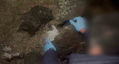 Taşın altından bin 67 adet uyuşturucu hap çıktı