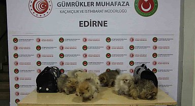 Ticaret Bakanlığı yasa dışı ticarete engel oldu