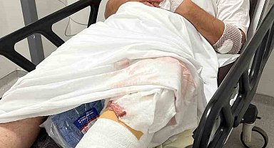 Türk Veteriner Hekimleri Birliği'nden Kayseri'de saldırıya uğrayan veteriner hekim hakkında açıklama