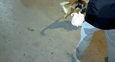 Zehir taciri Eta'dan kaçamadı