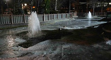 Ankara'da hava sıcaklığı eksi 10 dereceye düştü: Kuğulu Park'ın havuzu dondu