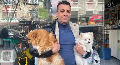 Çalınan köpek İhlas Haber Ajansı'nın haberinden sonra bulundu