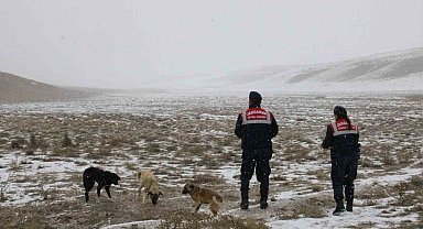Jandarma zorlu kış şartlarında hayvanları yalnız bırakmıyor