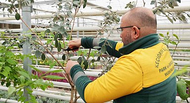 Keçiören Belediyesi'nden bilinçli tarımsal üretim için eğitim veriyor