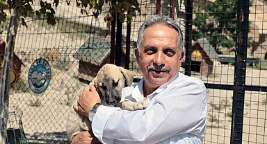 Talas'ta sevimli patiler için önemli çalışma