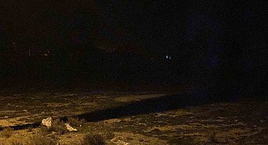 2 yaşındaki çocuk köpeklerin saldırısı sonucu hayatını kaybetti