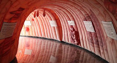 Ankara'da "Kansere Dair Her Şey" paneli düzenlendi