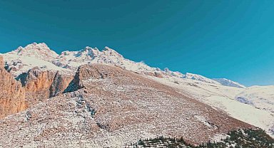 Dağ keçilerinin kış yolculuğu havadan görüntülendi