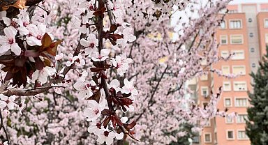 Kar hububatta sevindirdi, don meyve ve sebzede endişe getirdi