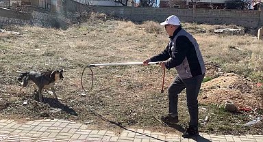 Karaman'da köpeğin saldırısından oğlunu kurtarmak isteyen baba yaralandı