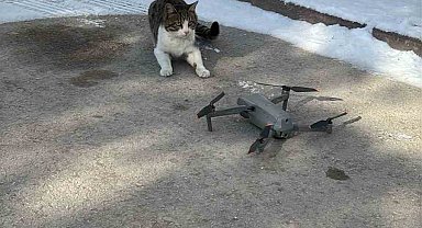 Konya'da dron ile karşılaşan kedi gülümsetti