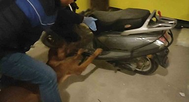 Motosikletin koltuk altından esrar çıktı