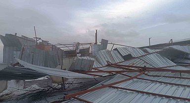 Şiddetli rüzgar mandıranın çatısını uçurdu