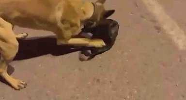 Uyuşturucu tacirleri ETA'dan kaçamadı