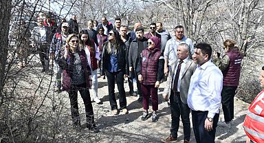 Yabani sakız ağaçları, Ankara fıstığı olacak