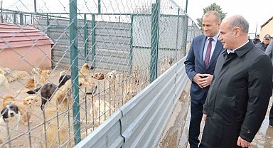 Bakan Yardımcısı Aktaş: "Sokak hayvanları ülkemizin olumsuz gündem maddelerinden biri"