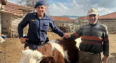 Jandarma kayıp büyükbaş hayvanı bularak sahibine teslim etti