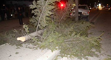 Konya'da otomobil refüjdeki ağaca çarptı: 6 yaralı